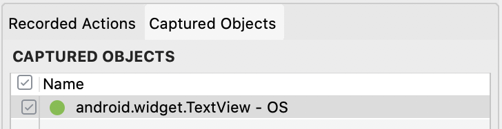 Click the Captured Objects tab to view all captured test objects in your session.